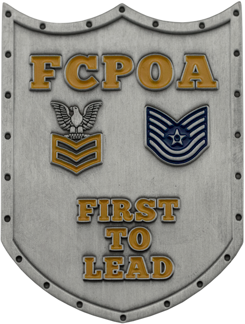 Air Force Challenge Coins