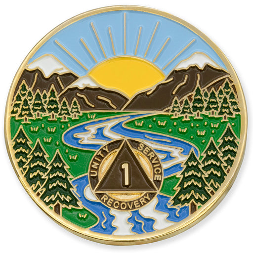 custom aa coin