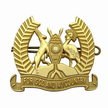 Military pins