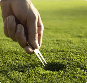 repair-the-grass