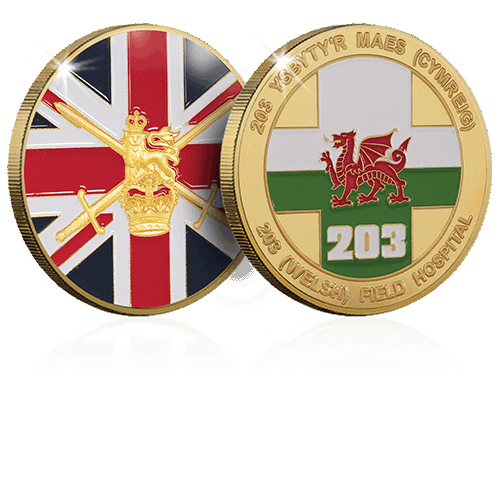 UK Army coin