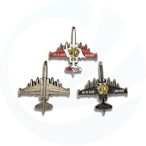 pirate metal large Challenge Coin