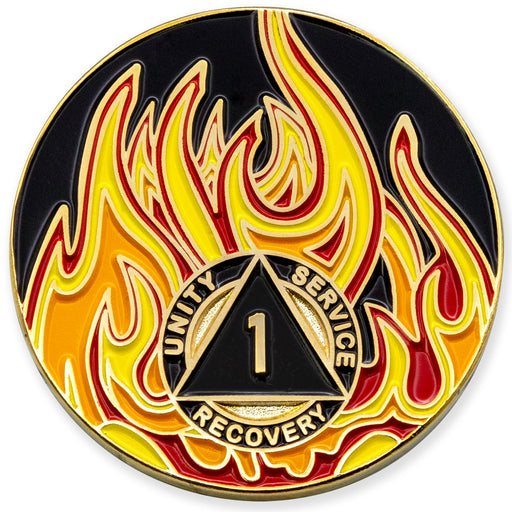 custom aa coin